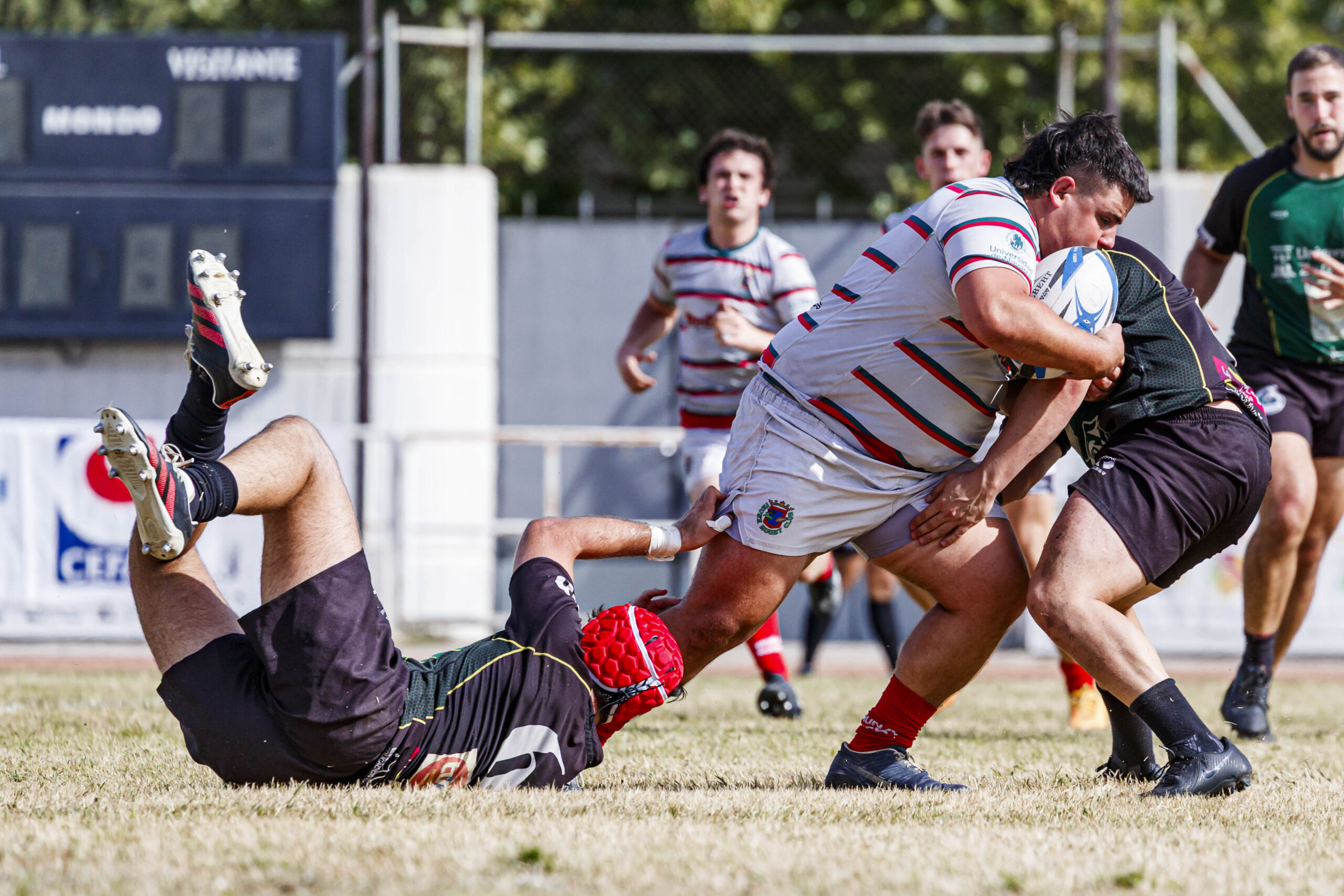 Partido amistoso de pretemporada entre el CD Universitario Rugby Zaragoza (CEFA Unizar) e Iruña Rugby Club