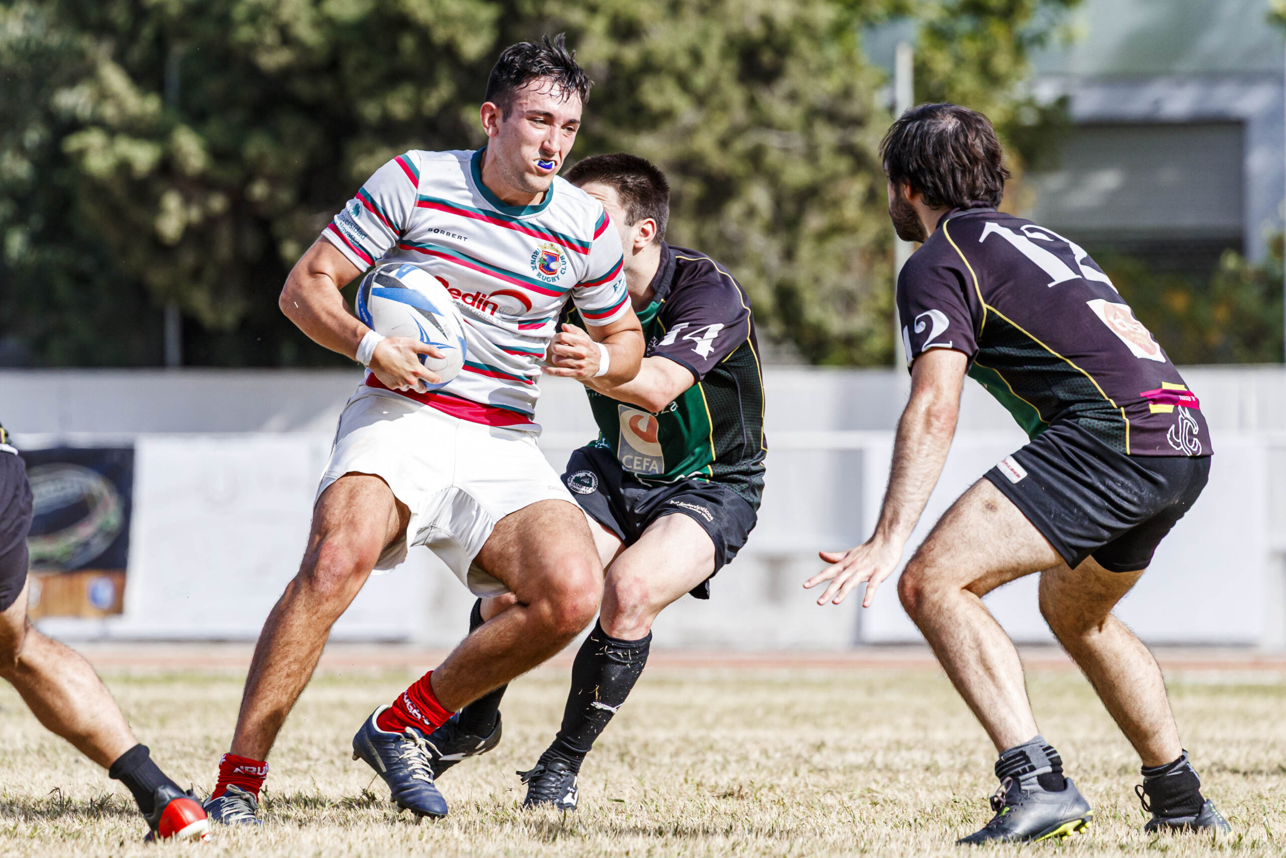Partido amistoso de pretemporada entre el CD Universitario Rugby Zaragoza (CEFA Unizar) e Iruña Rugby Club